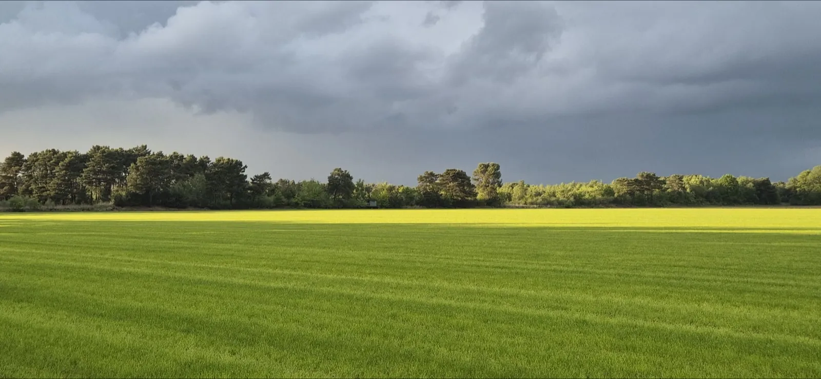 De Brabantse Kempen in wisselend seizoenslicht