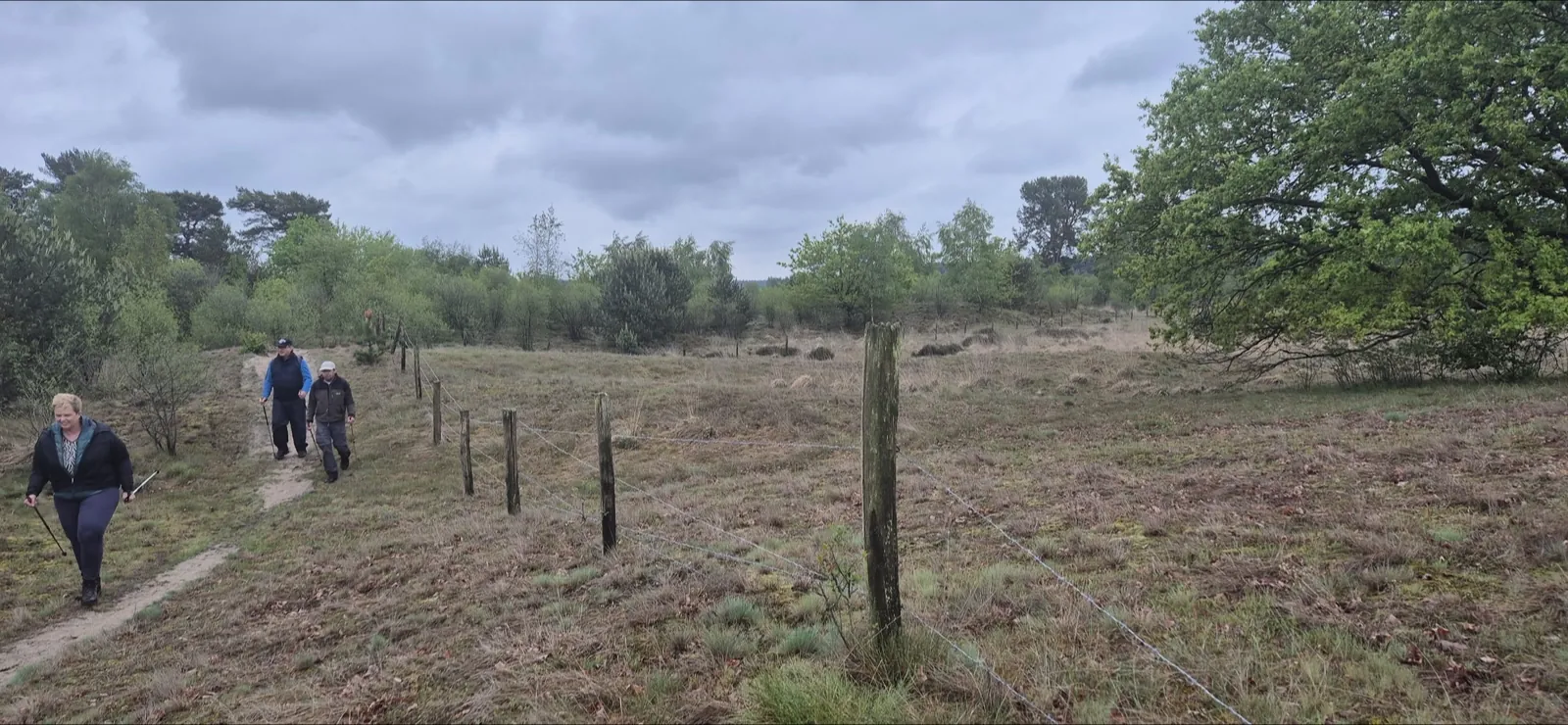 Wandelaars op een heidepad in de Brabantse Kempen