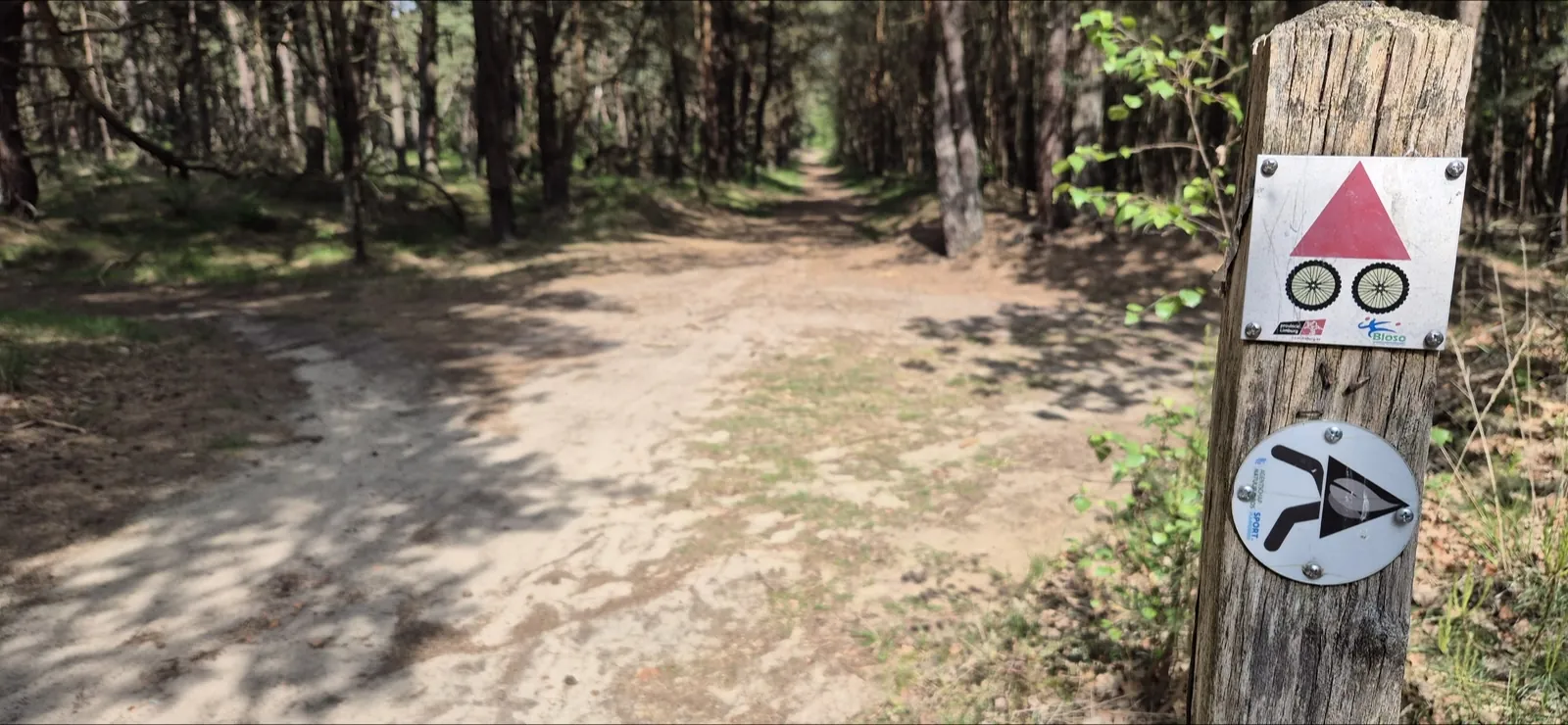 Zandpad door bos en heide in de Brabantse Kempen